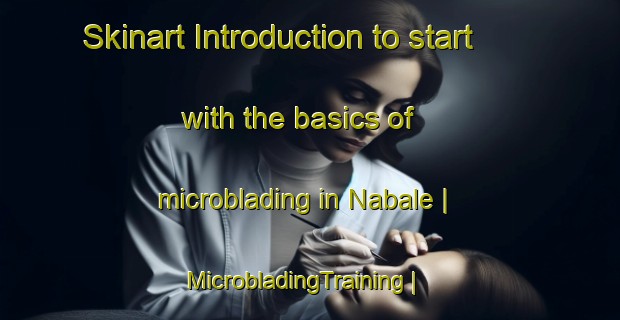 Skinart Introduction to start with the basics of microblading in Nabale | MicrobladingTraining | MicrobladingClasses | SkinartTraining-Niger